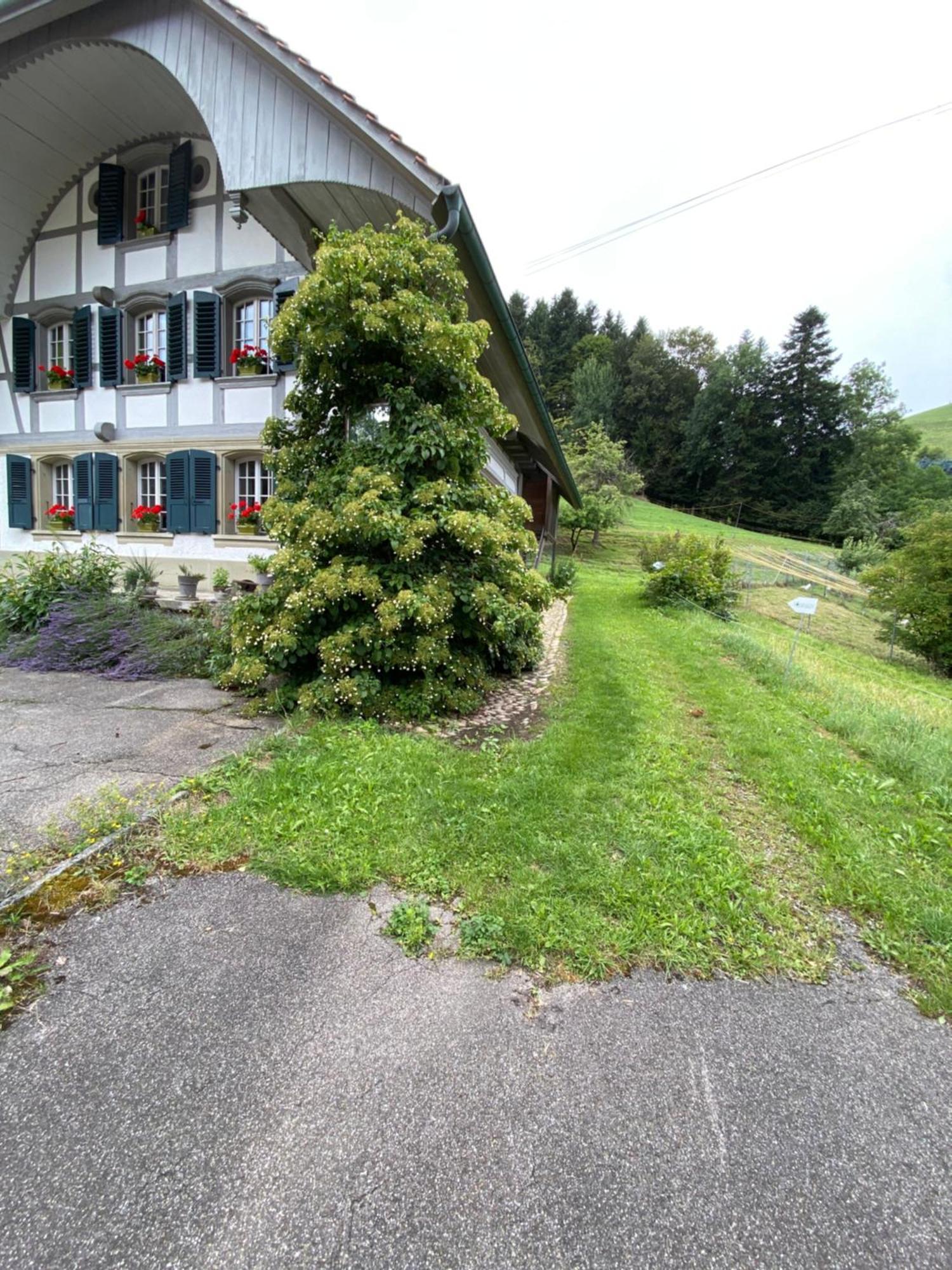 B&B Tannen124 Oberburg Экстерьер фото